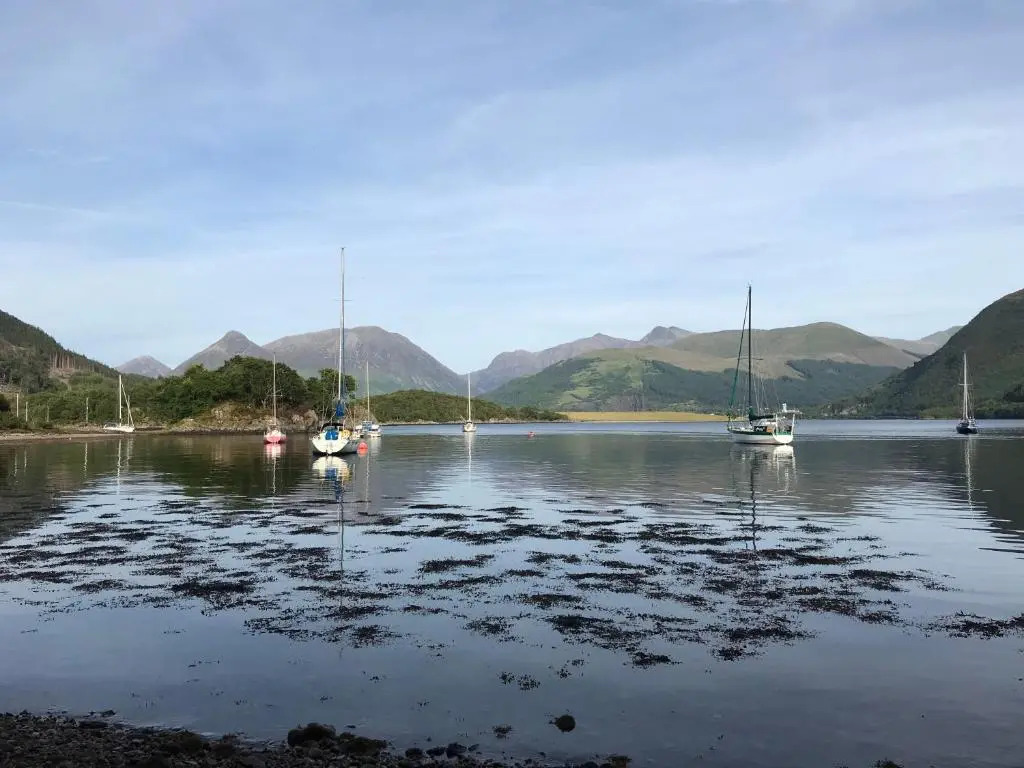 The Woolly Rock Bed and Breakfast