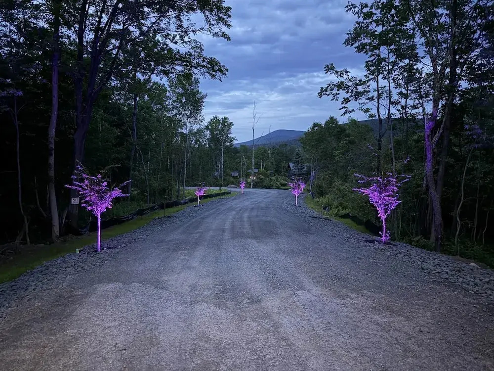 Windham NY Escape