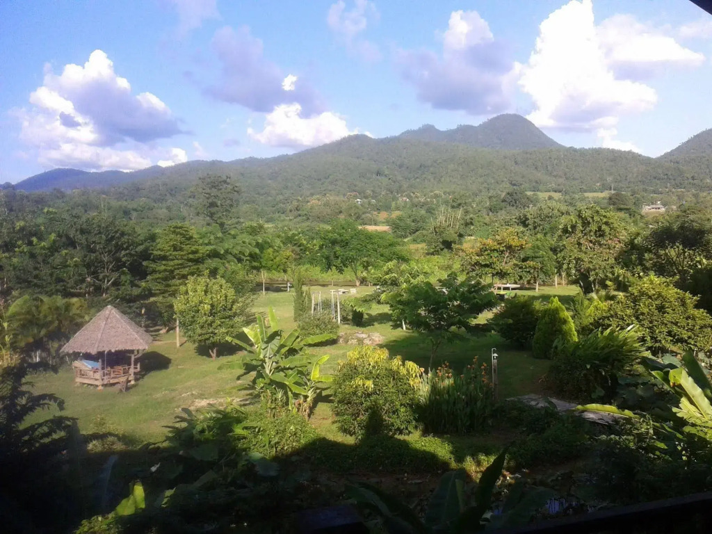 เรือนแฝด Brook view