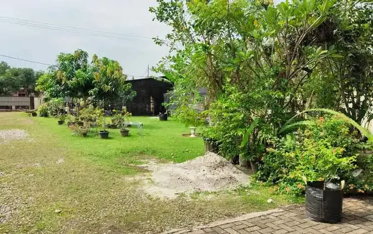 Amani House Syariah