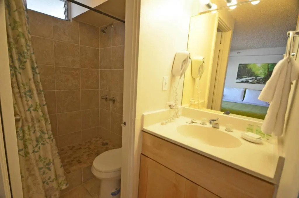 KV702 Waikiki Private Waterfall Room, Mountain View!