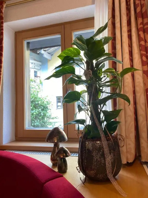 Apartment 54