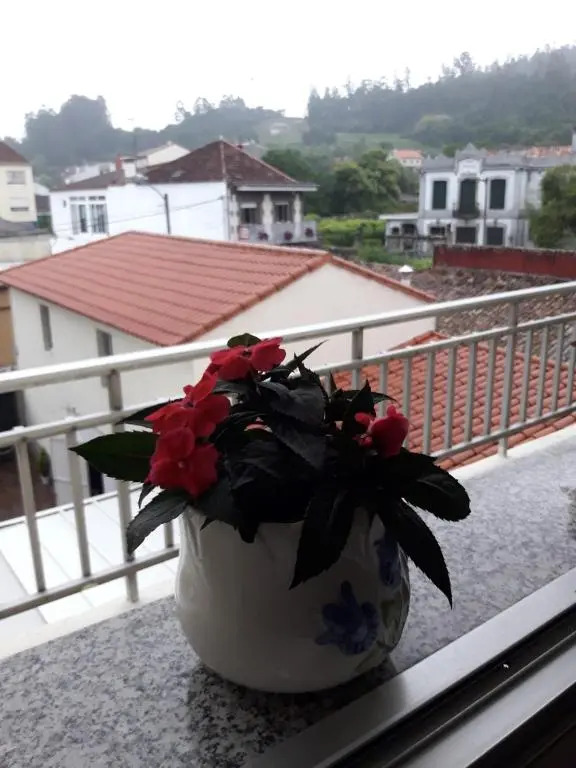 Albergue Agarimo