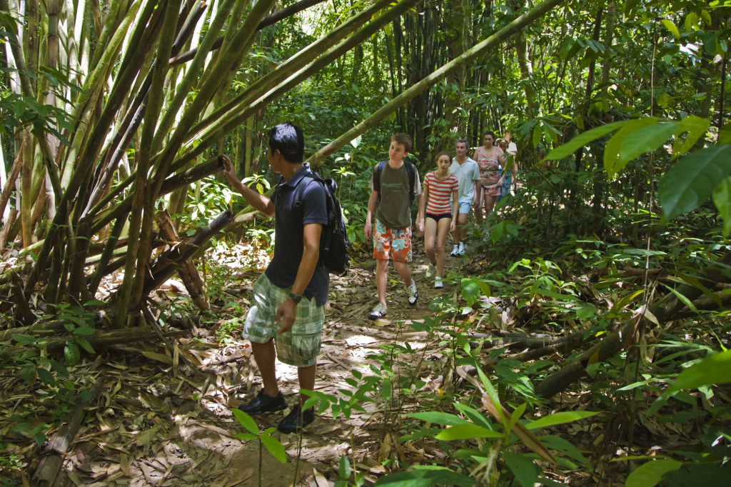 Khao Sok Riverside Cottages