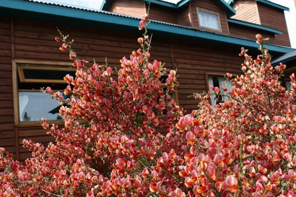 Hosteria Hainen