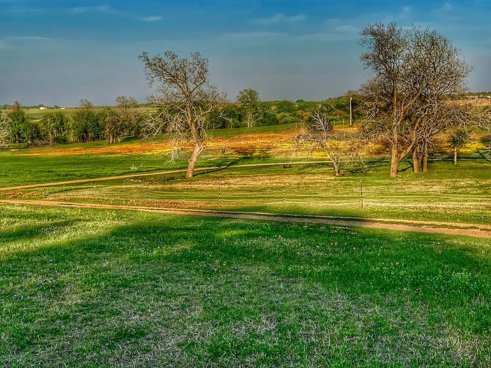 Wakefield Farms LLC