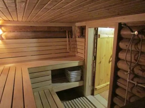 Alyonushkin Teremok Guest House