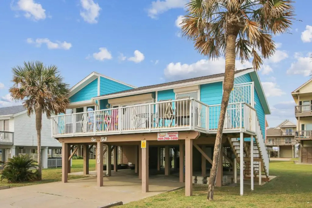 Beachfront Seashell