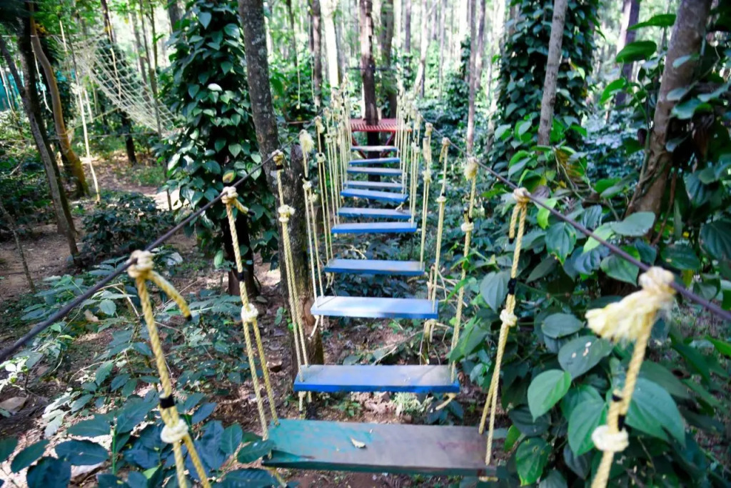 The Spectrum Resort - Chikmagalur