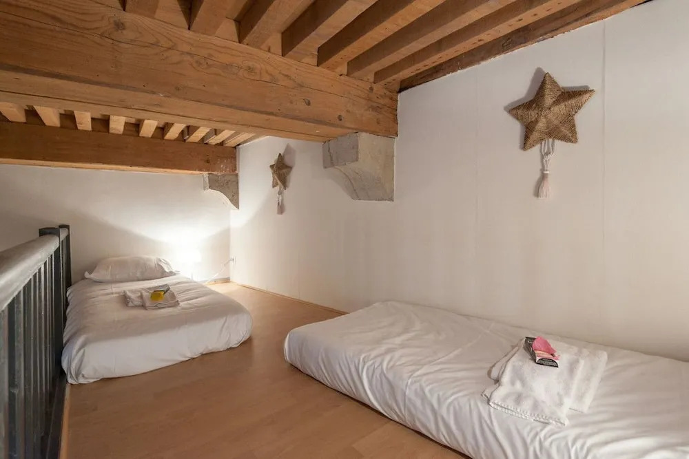 Very Comfortable Loft in Croix-rousse