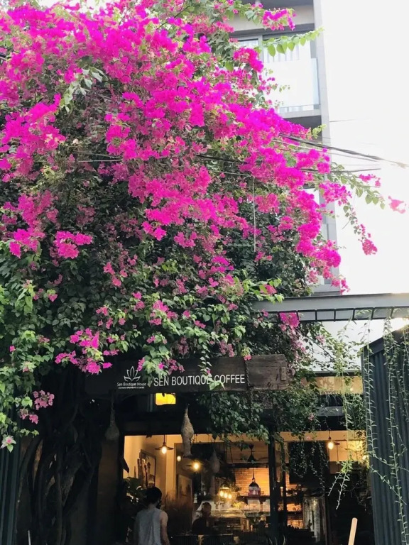 Sen Boutique Homestay