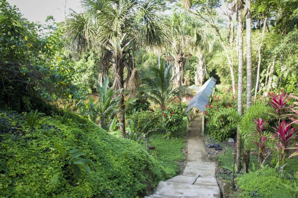 Suchipakari Jungle Lodge