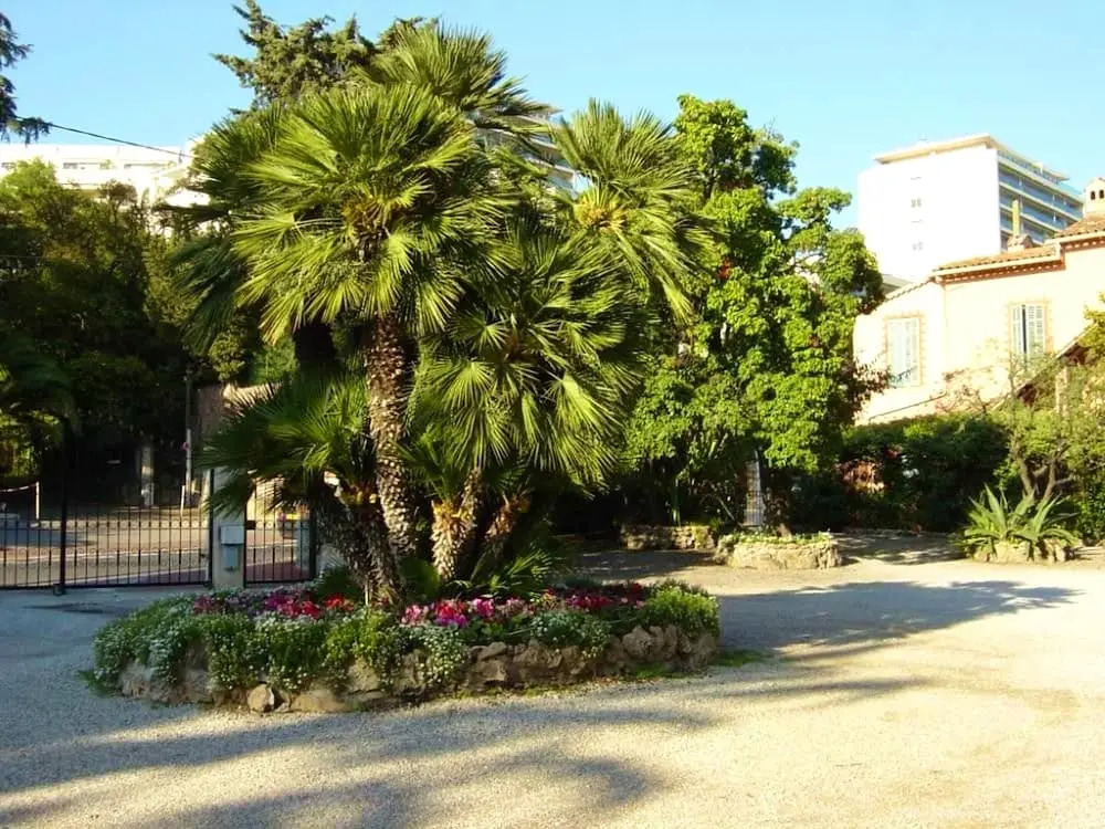 Studio in Cannes, With Wonderful sea View and Enclosed Garden - 250 m From the Beach