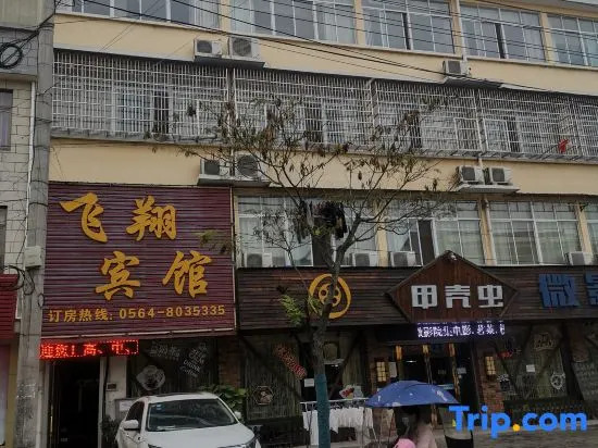 Shucheng Feixiang Hotel