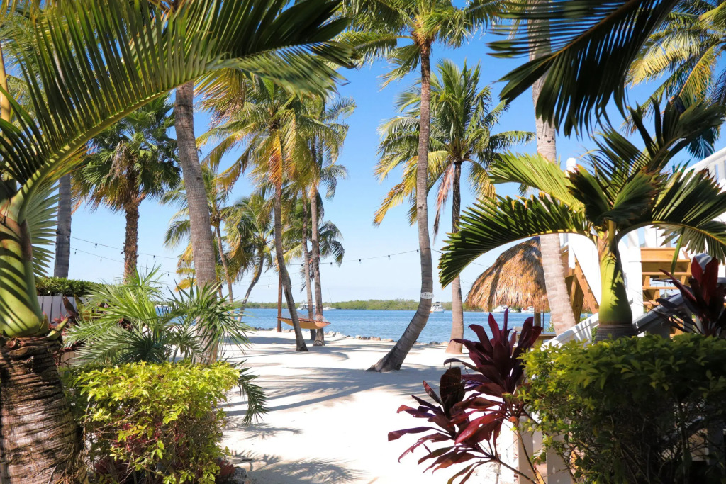 Coconut Palm Inn