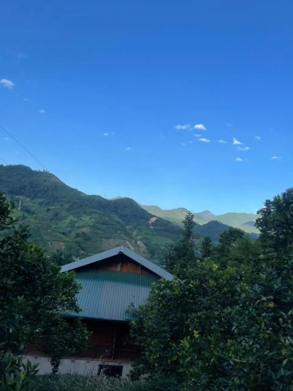 Sapa Orange Homestay