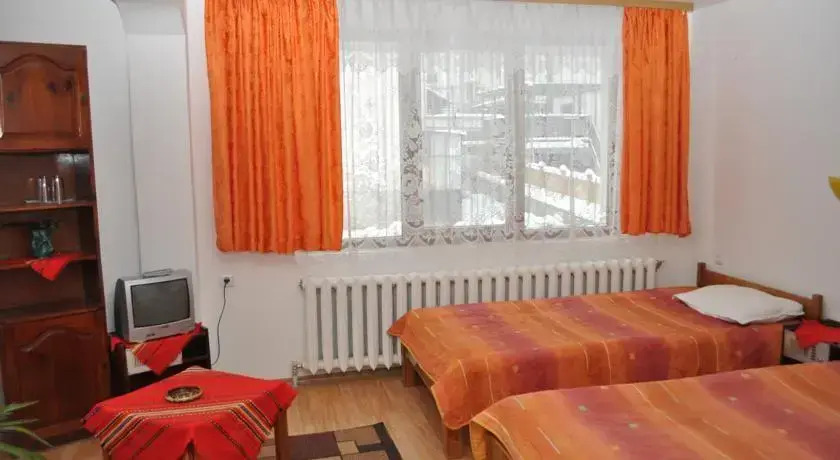 Hotel Alpin - 91 Bansko