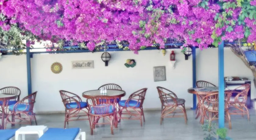 Blue Hotel