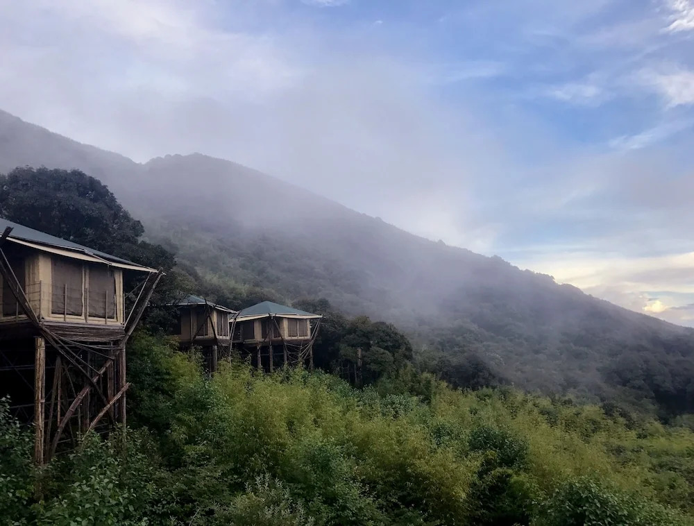 Vinetree Gaoligong Tented Resort