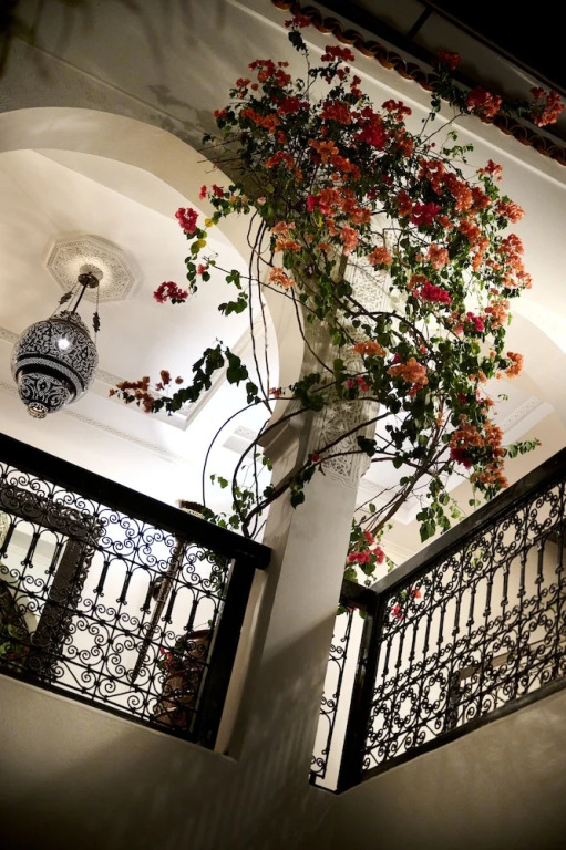 Riad Dar Amanza en exclusivité avec 4 chambres au coeur de la médina