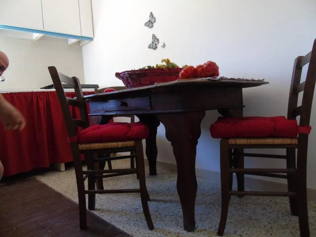 On Holiday Between Sky And Sea geco Di Campiglia pet friendly big garden