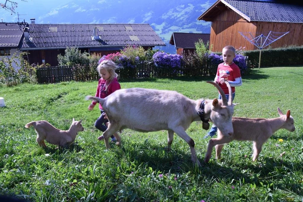 Ferienwohnungen Gredler