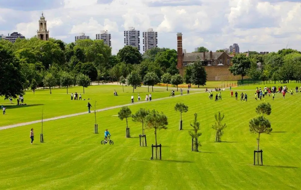 Burgess Park Place