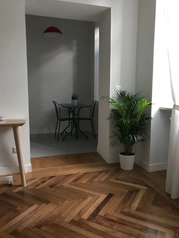 Rapanus Suites