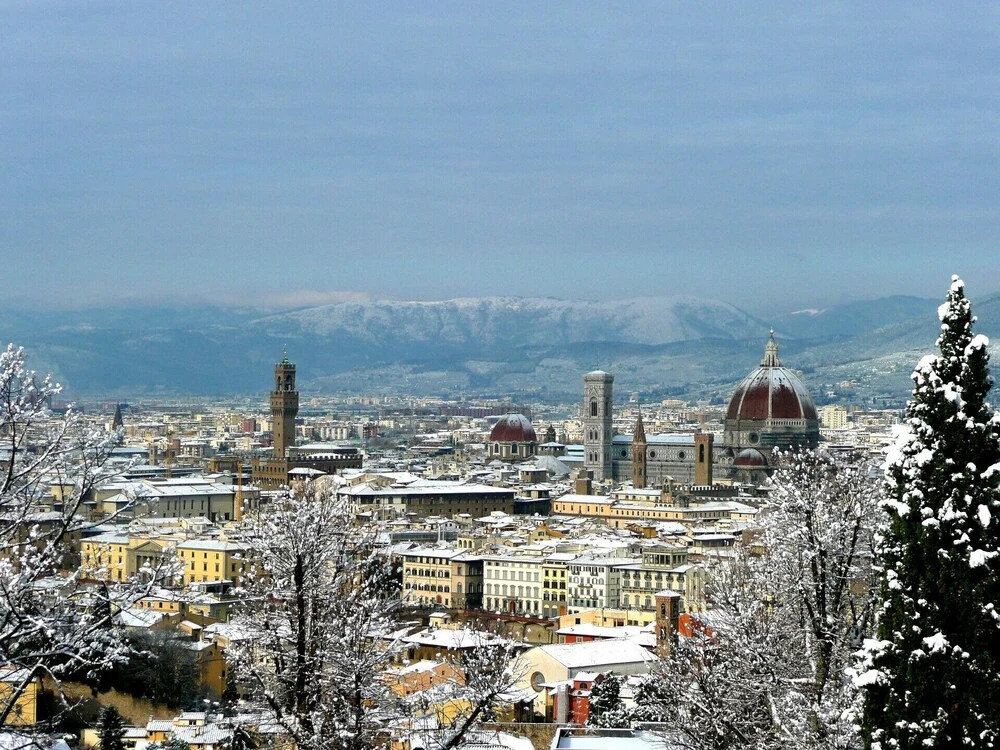 Affittimoderni Bergamo Young - Bgpc11