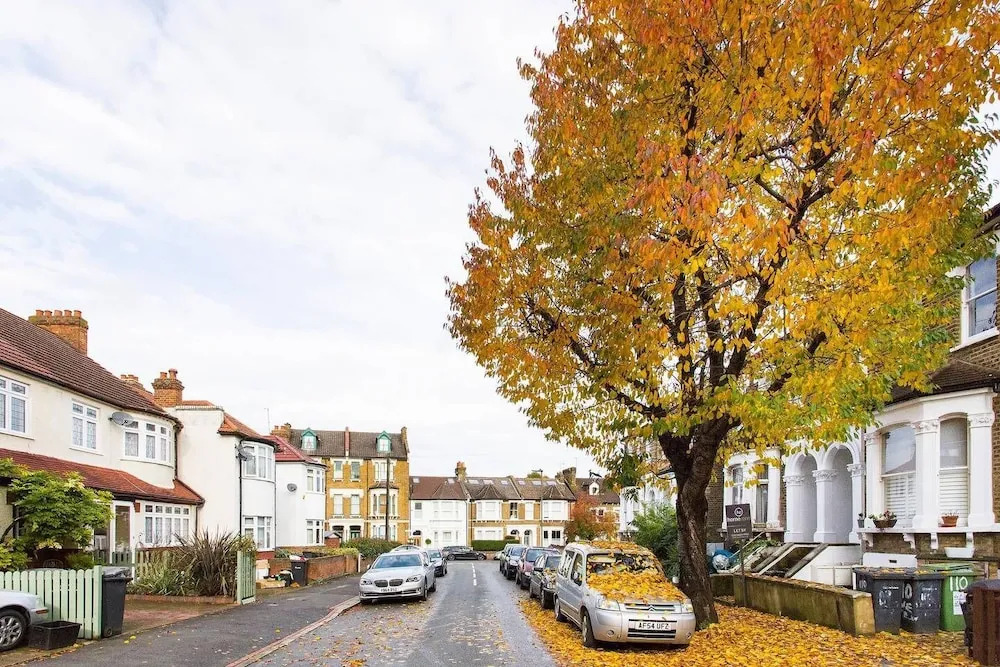 Huge Family Home in Sydenham Village