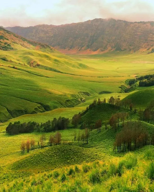 Good Karma Bromo Guesthouse