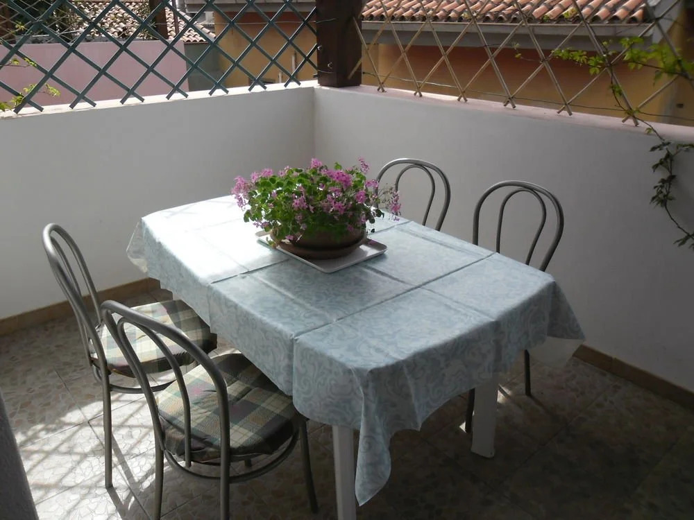 Canne Al Vento
