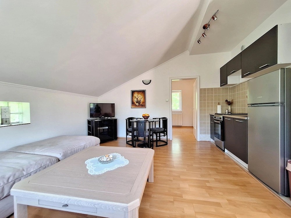 Apartment Nenad