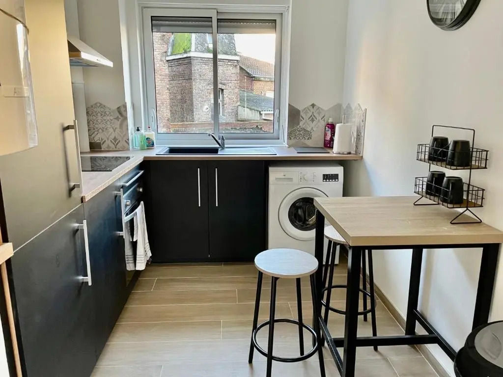 Valenciennes superbe appartement 50 m de la gare