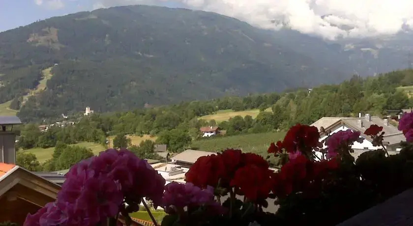 Apartement Steiner