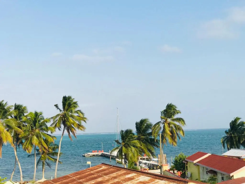 Tropical Paradise