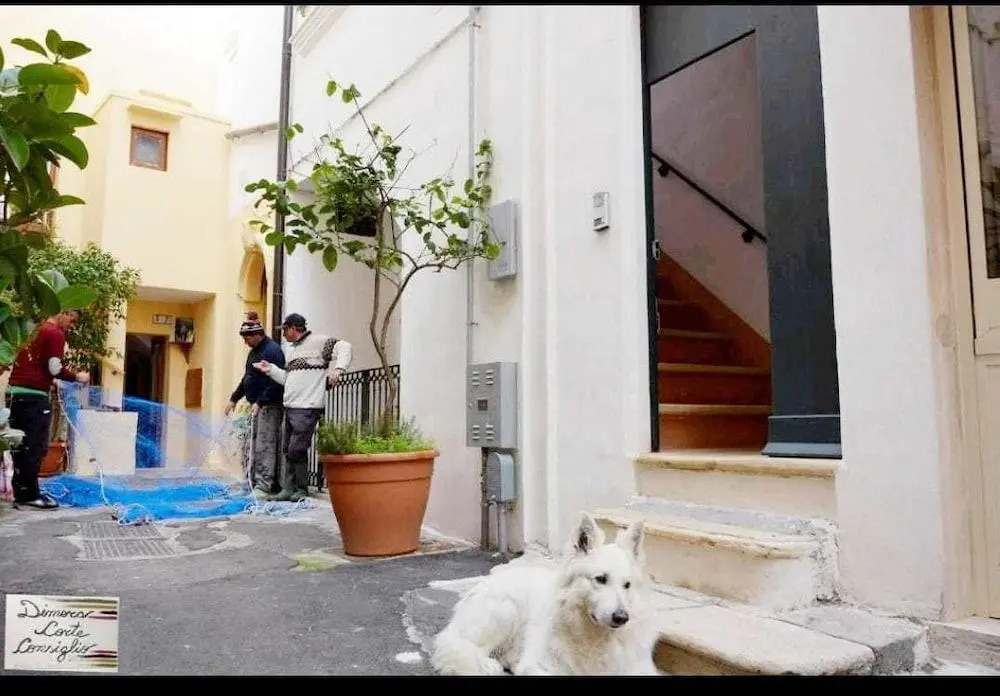Dimora Corte Consiglio