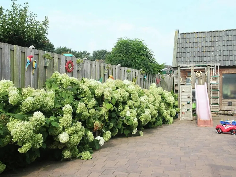 Thuis In Heiloo