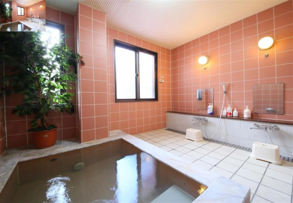 Guesthouse Moegi