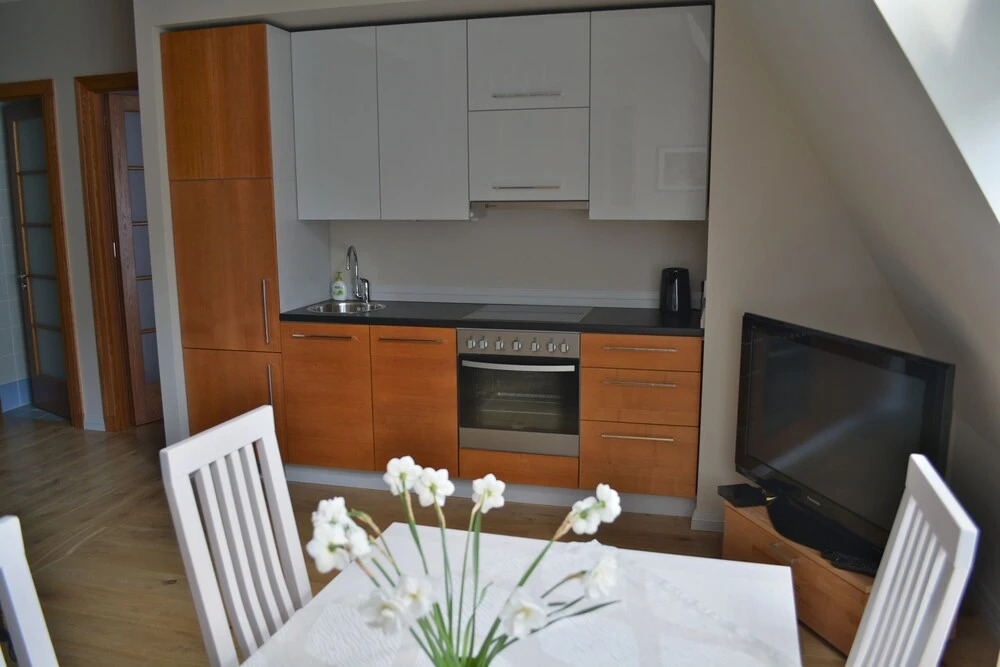 Apartment Ridzene