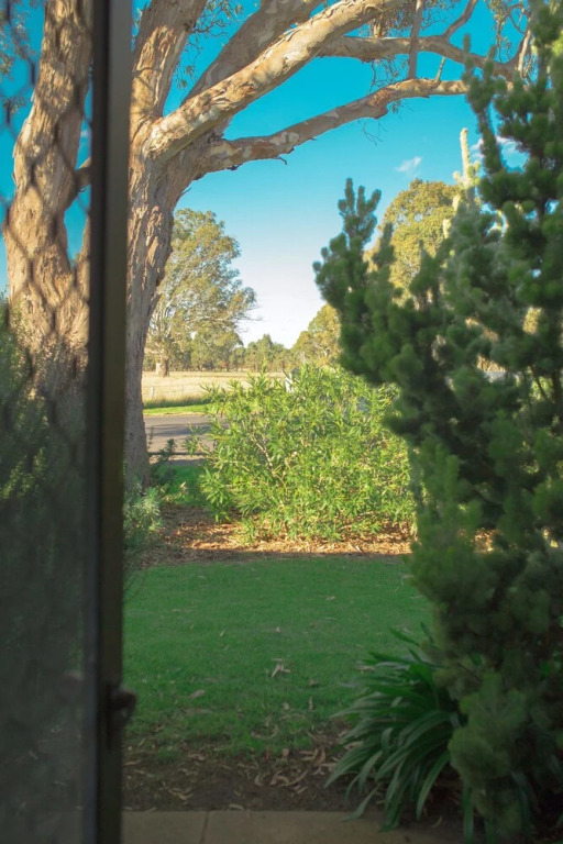 The Gums