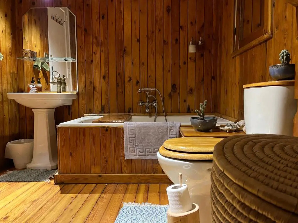 Houseboat65 - Historic home on the Nile - Central Cairo