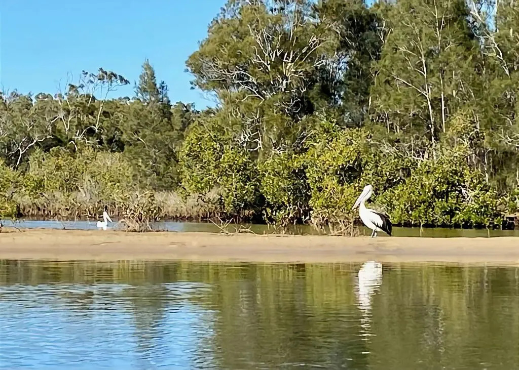 Pelican Point