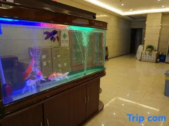 Urumqi Huasheng Garden Hotel
