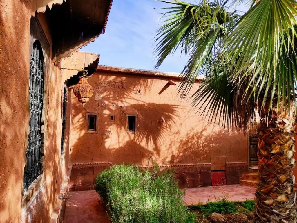 dar boumida