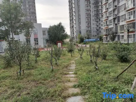 Tianjin Warm Home Homestay