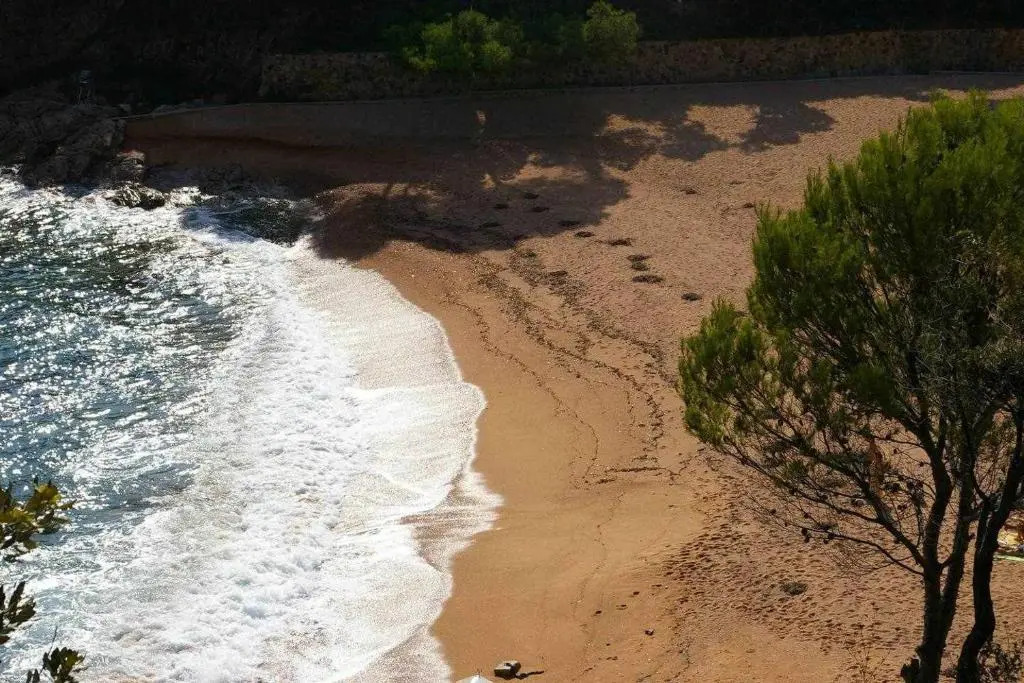 Apartamento Cala Salionç 12 primera linea de playa Tossa de Mar