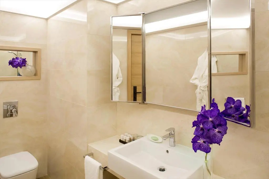 Отель Starhotels Metropole