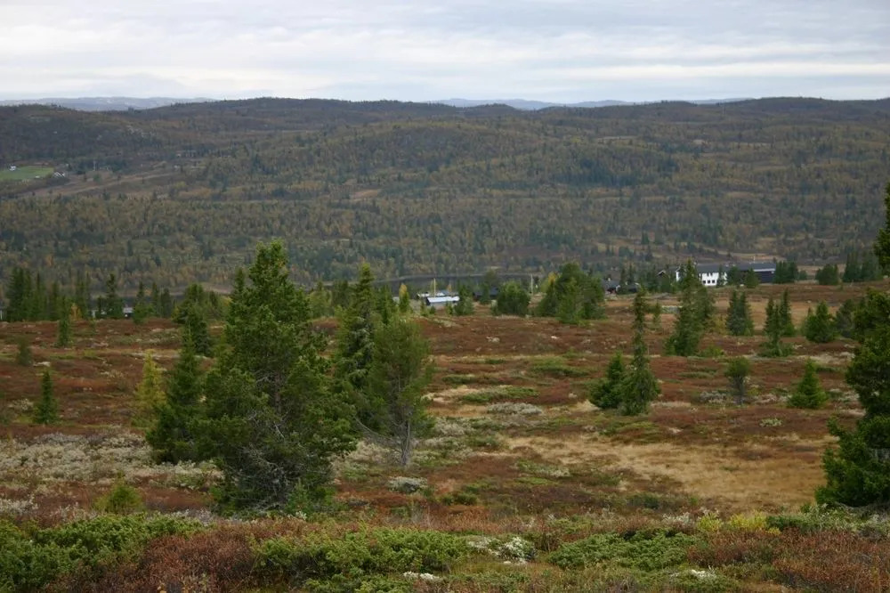 Fagerhøy Fjellstue