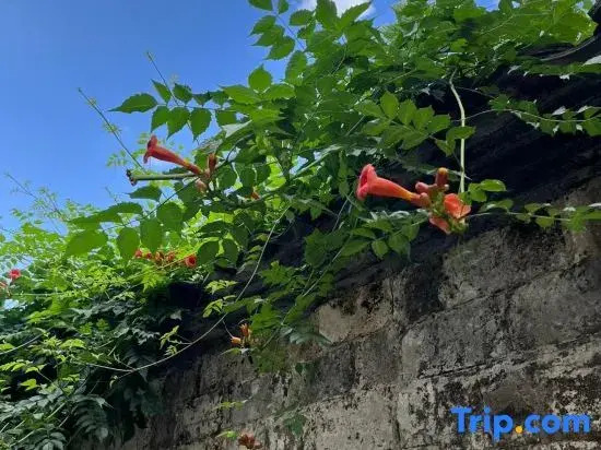 Huangshan Xishang Qixia Homestay (Huangshan Scenic Area)